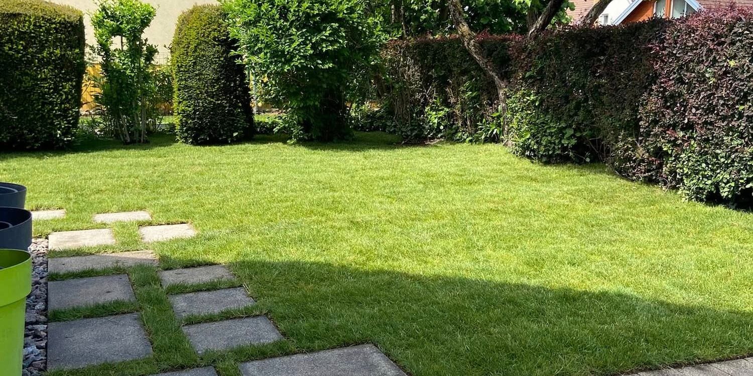 Comment structurer un jardin avec des massifs et des bordures sans alourdir l&rsquo;entretien ? Mulhouse
