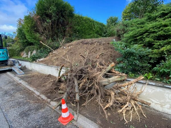 Entretien de jardins avec cr&eacute;dit d&rsquo;imp&ocirc;t pour particuliers et professionnels &agrave; Richwiller pr&egrave;s d’Ensisheim Mulhouse 1