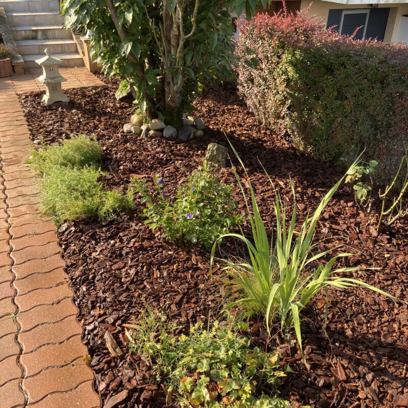 Photos page d’accueil Rixheim 2