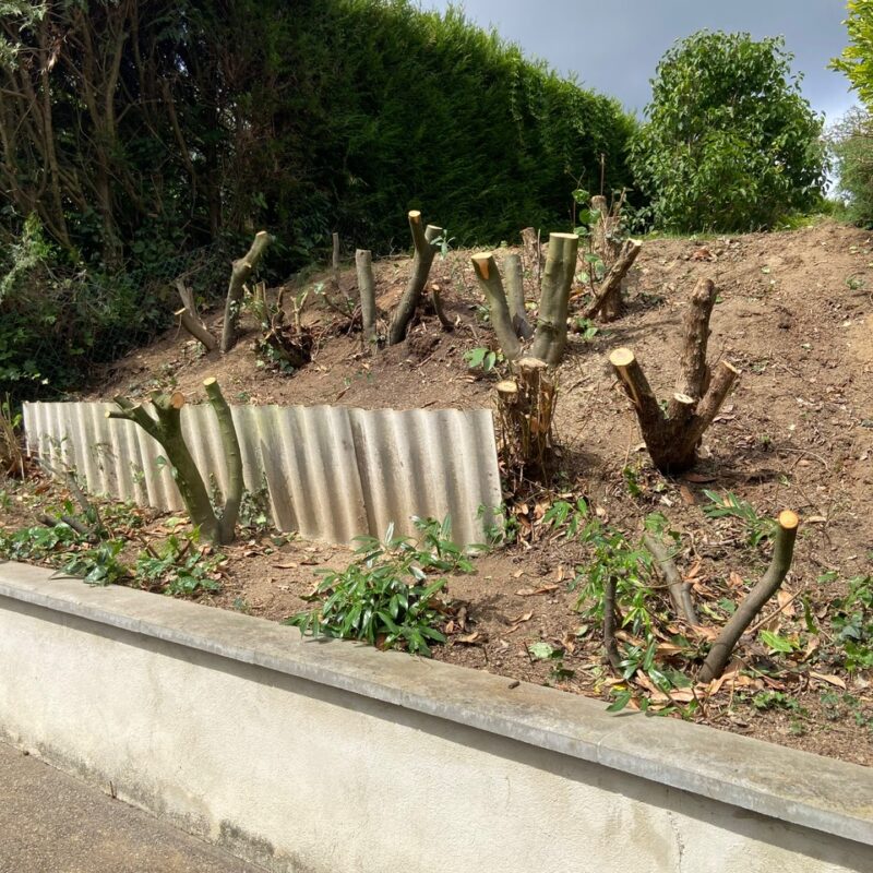 Nos r&eacute;alisations Rixheim 11