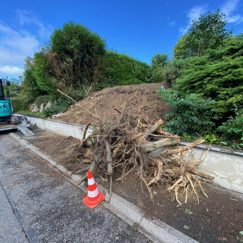 Nos r&eacute;alisations Kingersheim 8